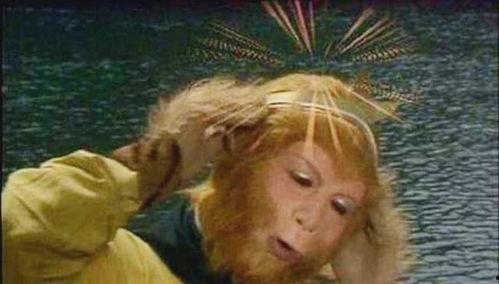 带你吃瓜紧箍咒  第3张