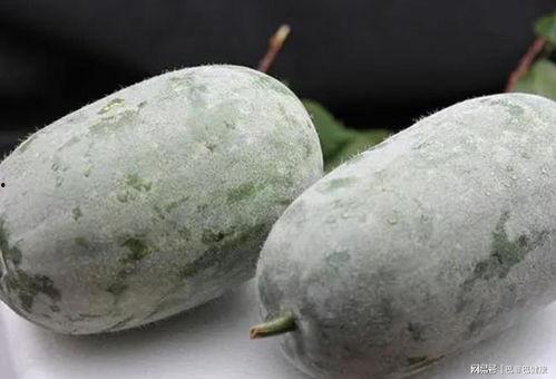 吃瓜一线七,揭秘娱乐圈背后的那些事儿  第3张