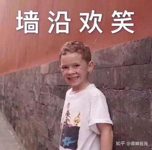 何浩楠吃瓜表情,揭秘娱乐圈幕后风云  第3张