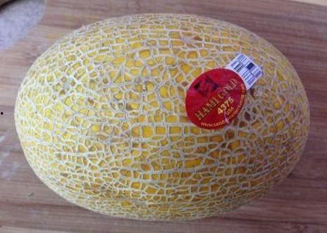 小宝宝吃哈密瓜酸奶,宝宝营养新选择，美味与健康同行  第2张