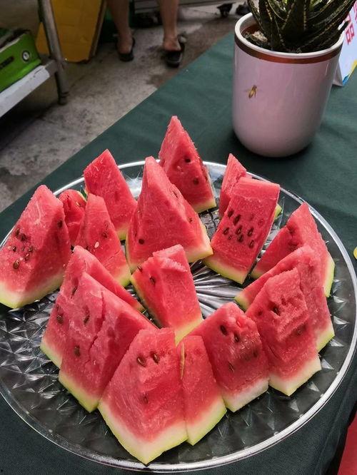 永年吃瓜大赛,一场全民参与的夏日狂欢盛宴