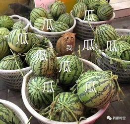 上网吃瓜的,揭秘网络舆论场的狂欢与反思