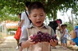 疯狂吃瓜怎么玩