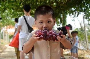 疯狂吃瓜怎么玩