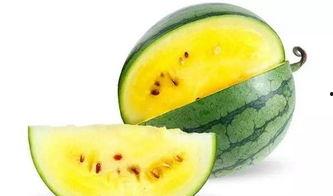 瓜酱今日吃瓜最新更新内容,揭秘娱乐圈惊天大瓜，精彩内容不容错过！