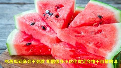 胖子吃瓜的视频,揭秘娱乐圈幕后故事