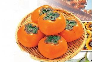 吃柿子能吃辣瓜,美味碰撞的奇妙食趣