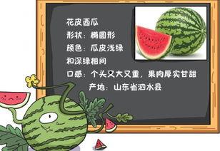 吃瓜仪式阅读原文,一场独特的文化盛宴