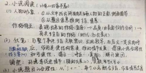 吃瓜仪式阅读原文,一场独特的文化盛宴